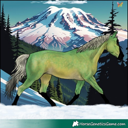 Horse Color:Void Watercolor Chocolate Palomino Splash 