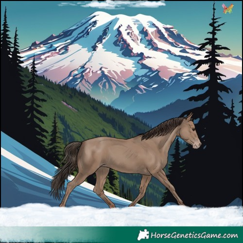 Horse Color:Classic Champagne 