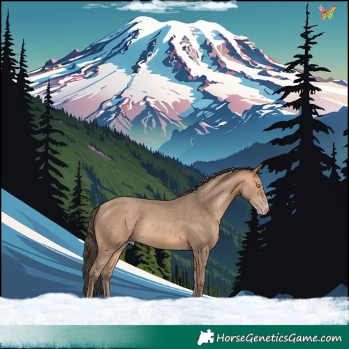 Horse Color:Amber Champagne 