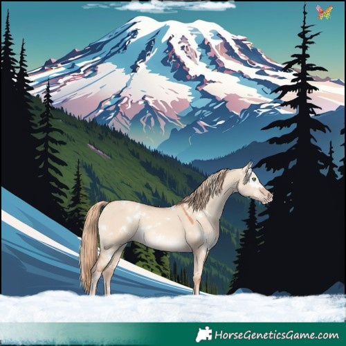 Horse Color:White Spotted Gold Champagne Dun Rabicano 