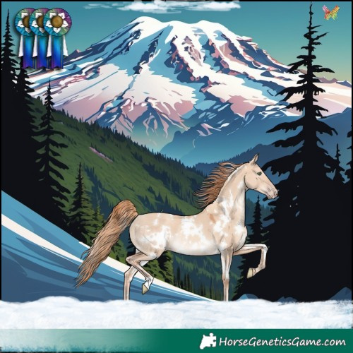 Horse Color:White Spotted Gold Champagne Dun Rabicano 