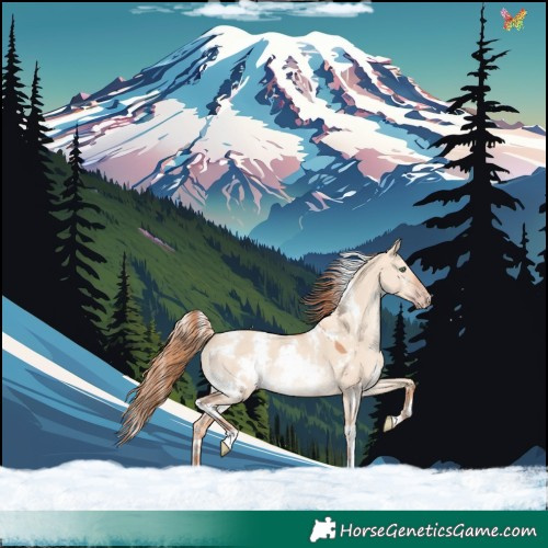 Horse Color:White Spotted Gold Champagne Dun 