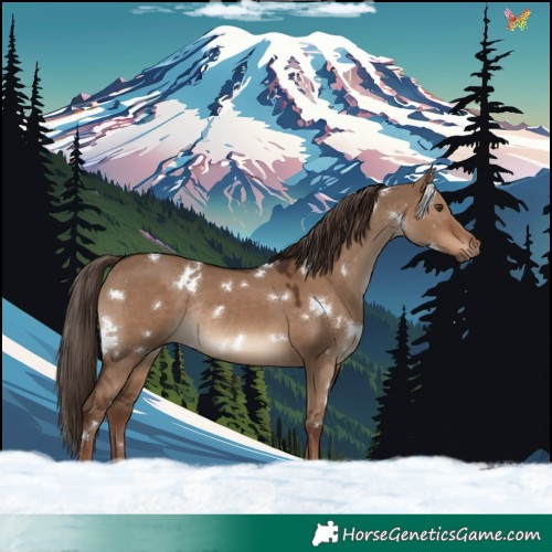 Horse Color:White Spotted Liver Red Dun Rabicano 