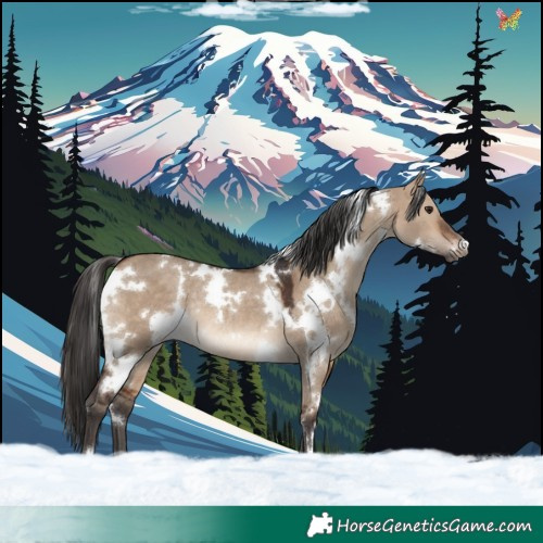Horse Color:White Spotted Bay Dun Rabicano 