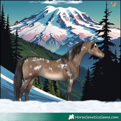 Horse Color:White Spotted Brown Dun 