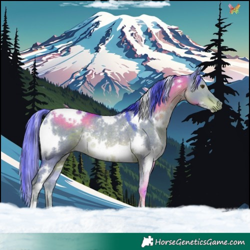 Horse Color:Watercolor White Spotted Liver Red Dun Rabicano 