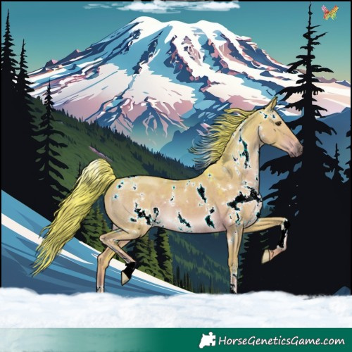 Horse Color:Watercolor White Spotted Liver Red Dun 
