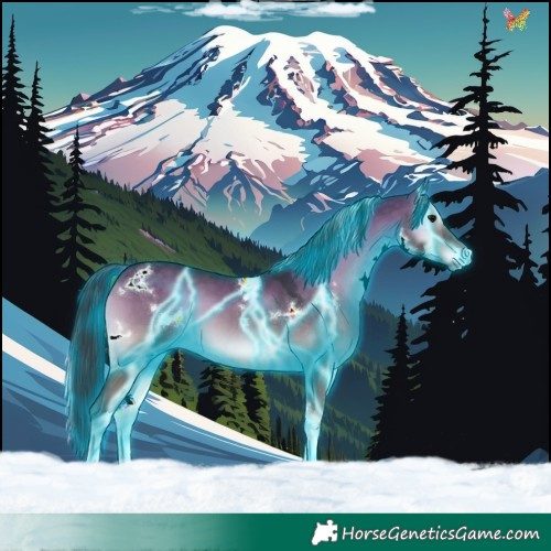 Horse Color:Thunderstruck White Spotted Brown Onyx Tobiano 