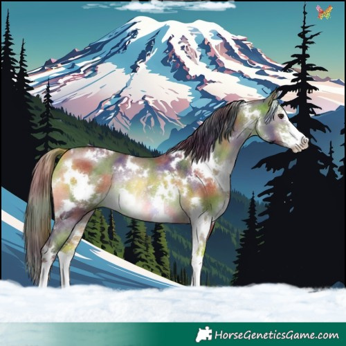 Horse Color:Nacre White Spotted Brown Dun Rabicano 