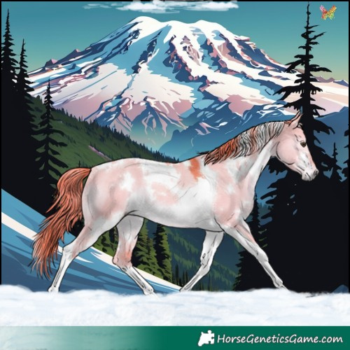 Horse Color:Watercolor White Spotted Liver Red Dun Tobiano Rabicano 