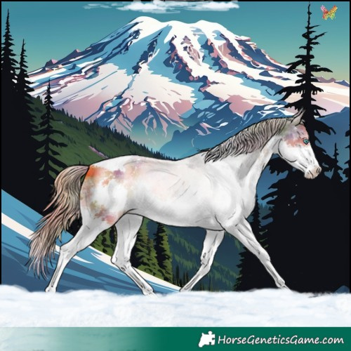 Horse Color:Nacre White Spotted Liver Red Dun Splash Tobiano 