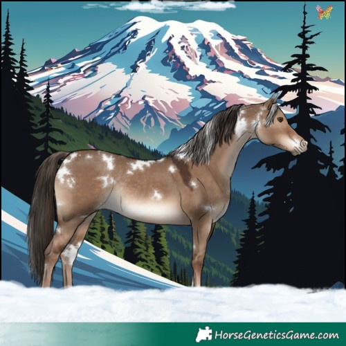 Horse Color:White Spotted Liver Red Dun Rabicano 