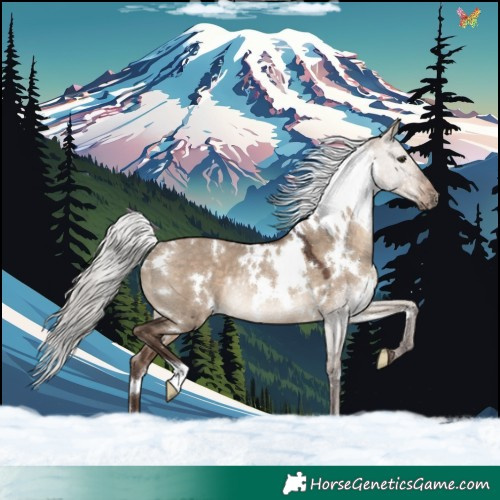 Horse Color:White Spotted Silver Brown Dun Rabicano 