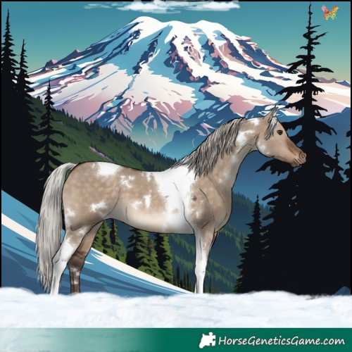 Horse Color:White Spotted Silver Brown Dun Tobiano 