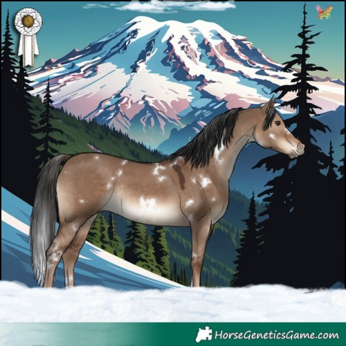Horse Color:White Spotted Liver Red Dun Rabicano 