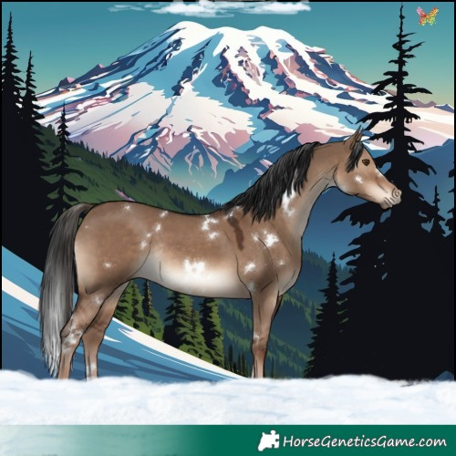 Horse Color:White Spotted Liver Red Dun Rabicano 