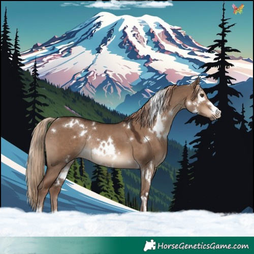 Horse Color:White Spotted Liver Red Dun Rabicano 