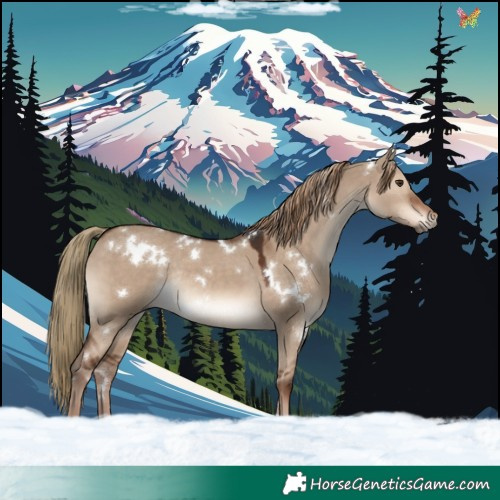 Horse Color:White Spotted Liver Red Dun Rabicano 