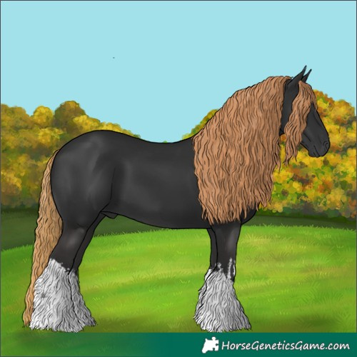 Horse Color:Gray White Spotted Liver Chestnut 