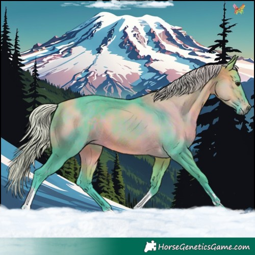 Horse Color:Watercolor Silver Brown Tobiano