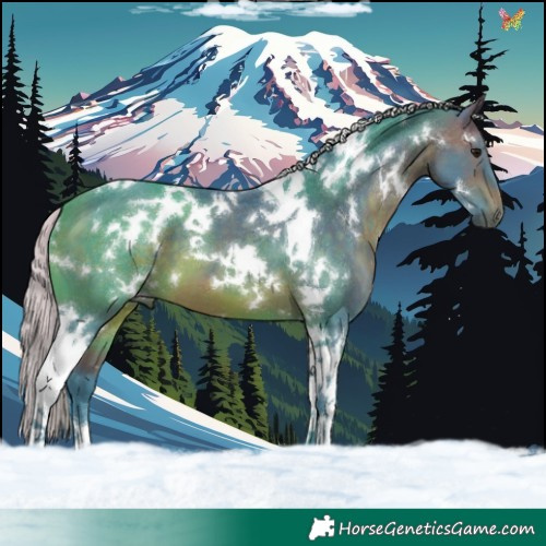 Horse Color:Watercolor White Spotted Silver Brown Tobiano 