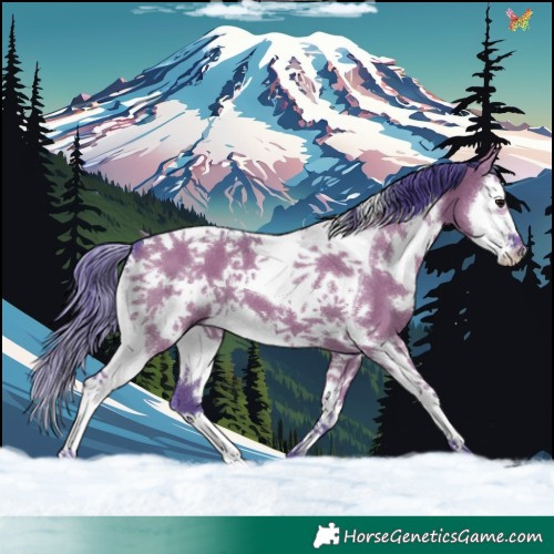 Horse Color:Watercolor White Spotted Smoky Grullo Splash Tobiano 