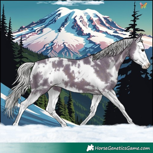 Horse Color:Watercolor White Spotted Silver Black Splash 