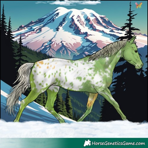 Horse Color:Watercolor White Spotted Silver Black Appaloosa 