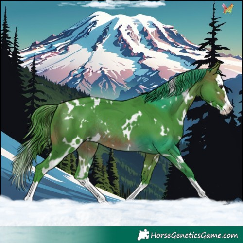 Horse Color:Watercolor White Spotted Brown Splash Rabicano 