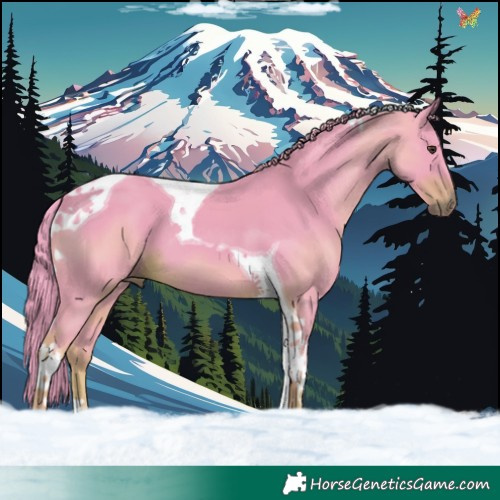 Horse Color:Watercolor Liver Chestnut Tobiano 