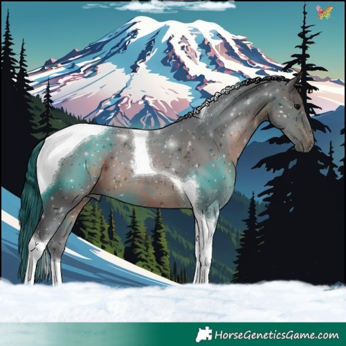 Horse Color:Brown Tobiano 