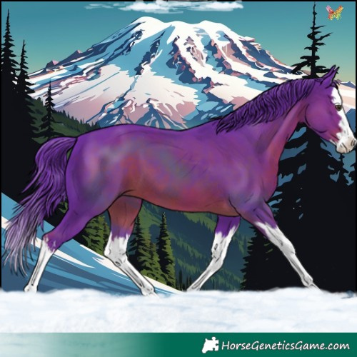 Horse Color:Watercolor White Spotted Liver Chestnut Splash 