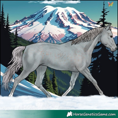 Horse Color:Watercolor Silver Black Tobiano 