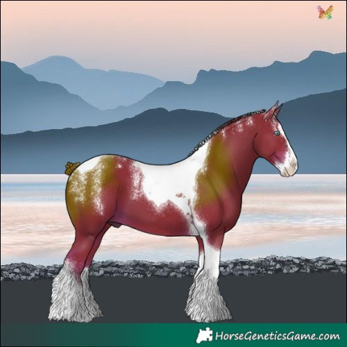 Horse Color:Powder White Watercolor Liver Chestnut Splash Tobiano 