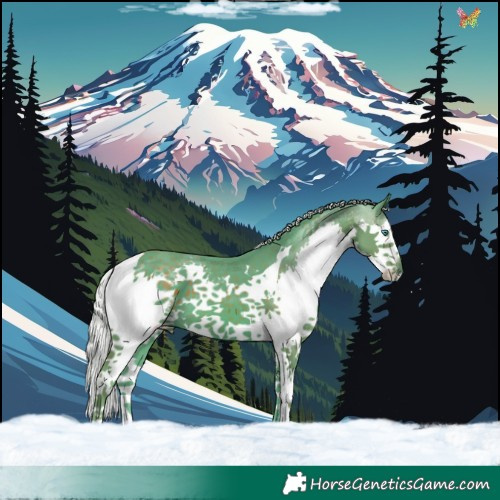 Horse Color:Watercolor Silver Black Splash Tobiano