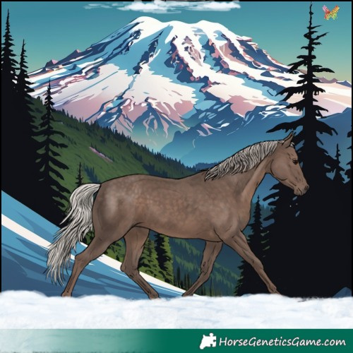 Horse Color:Silver Black 