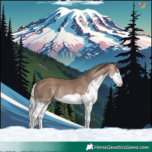 Horse Color:Silver Black Splash 
