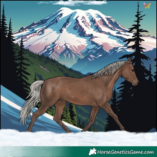 Horse Color:Silver Black 