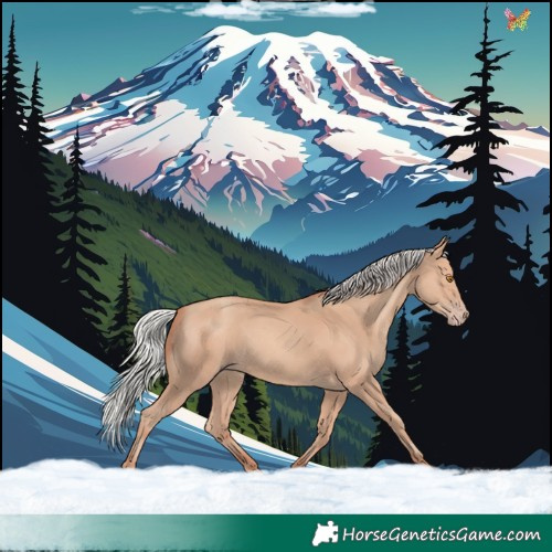 Horse Color:Silver Classic Champagne 