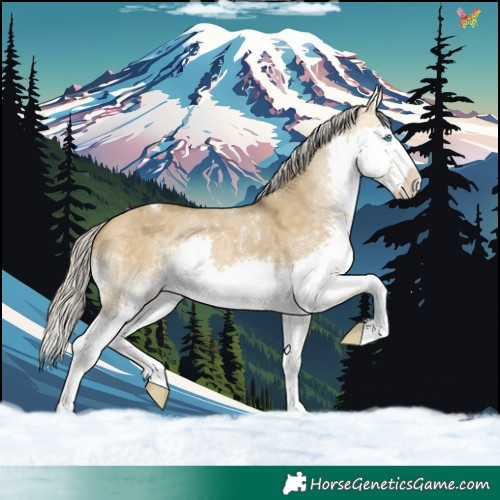Horse Color:Silver Sable Cream Champagne Dun Sabino Splash Tobiano