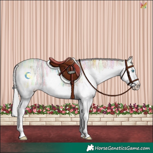 Horse Color:Silver Sable Champagne Ice Splash 