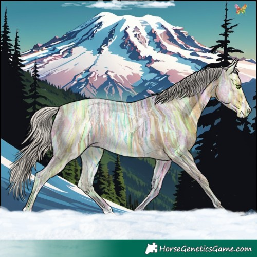 Horse Color:Silver Sable Cream Champagne Ice 