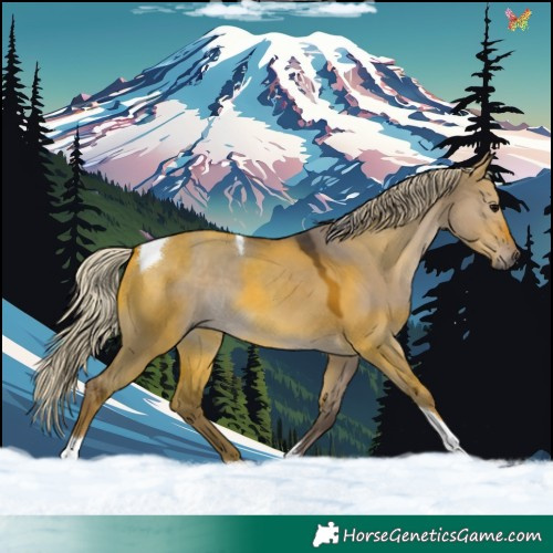 Horse Color:Silver Grullo Tobiano 
