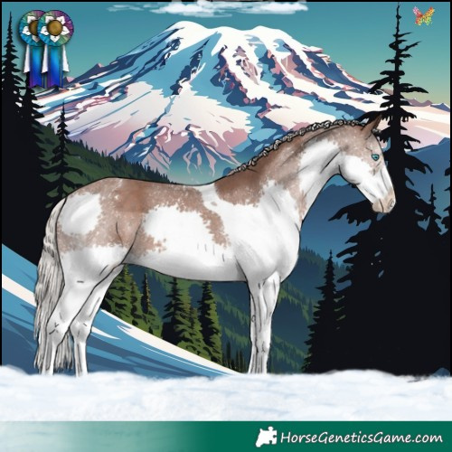 Horse Color:Silver Black Sabino Splash Tobiano 