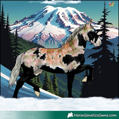 Horse Color:Plaid White Spotted Silver Brown Splash
