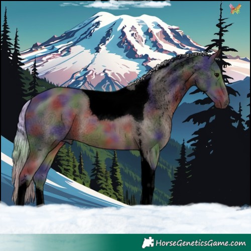 Horse Color:Void Nacre Silver Black Tobiano 