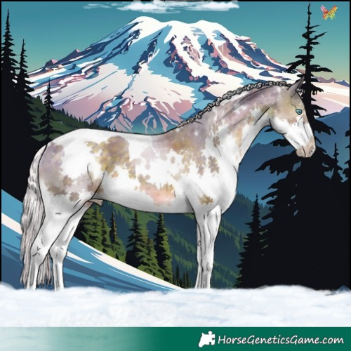 Horse Color:Watercolor White Spotted Silver Black Splash Tobiano