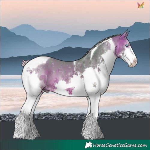 Horse Color:Watercolor Silver Bay Splash Tobiano 