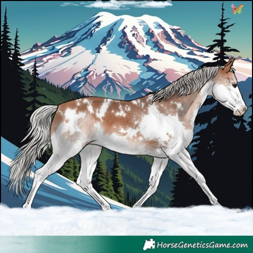 Horse Color:White Spotted Silver Bay Splash 