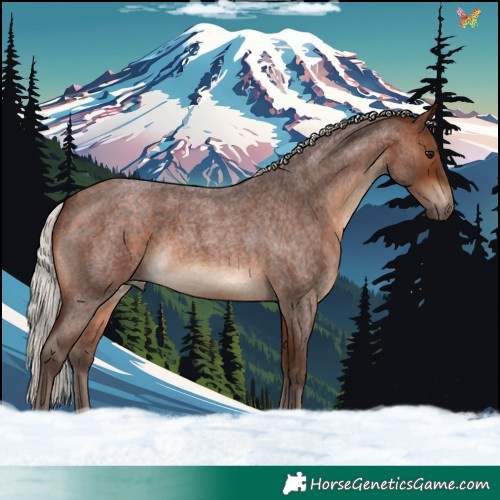 Horse Color:Silver Brown Roan 